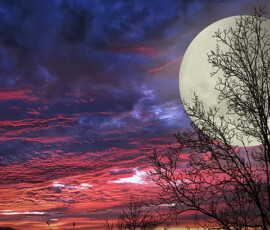 Moon Wallpapers HD, 4K & Ultra HD Free Download 28 moon wallpaper iphone