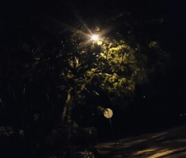 aesthetic evening images