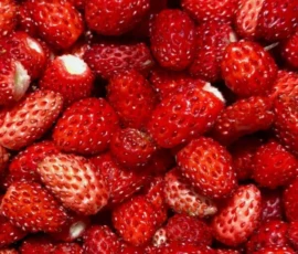 π Strawberry Wallpapers HD & 4K β Fresh, Aesthetic Backgrounds Free Download 20 strawberry wallpapers for iphone