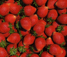 π Strawberry Wallpapers HD & 4K β Fresh, Aesthetic Backgrounds Free Download 21 strawberry wallpaper high quality