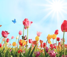 Flowers Wallpapers HD (4K, 8K) – Beautiful Floral Backgrounds Free Download 31 flower wallpaper 4k download
