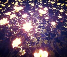 Flowers Wallpapers HD (4K, 8K) – Beautiful Floral Backgrounds Free Download 38 Magical Flowers Wallpapers