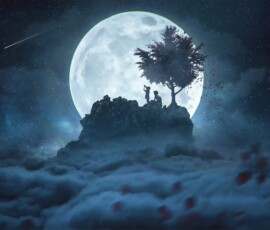 moon flower wallpaper 4k