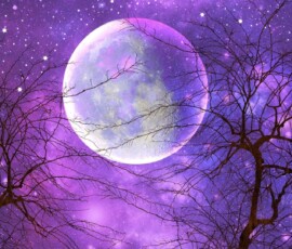 purple moon wallpaper 4k